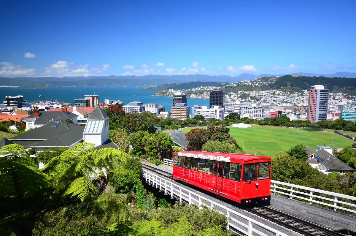 Wellington cable car overlooking the harbour