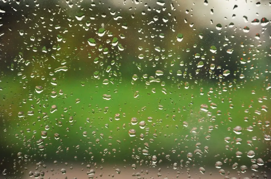 Condensation on a window pane